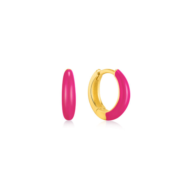 Ania Haie Earrings E040-02G-NP