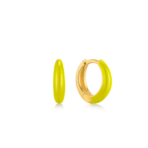 Ania Haie Earrings E040-02G-NY