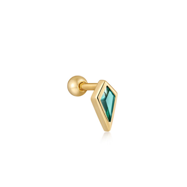 Ania Haie Earrings E041-01G-G