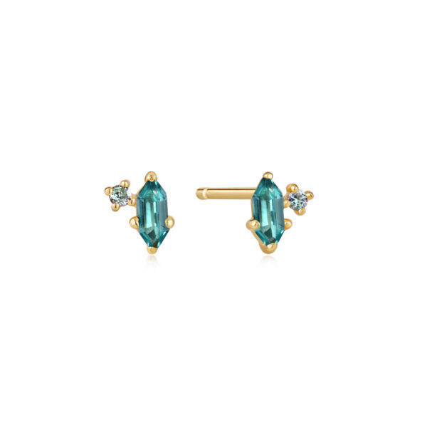 Ania Haie Earrings E041-02G-G