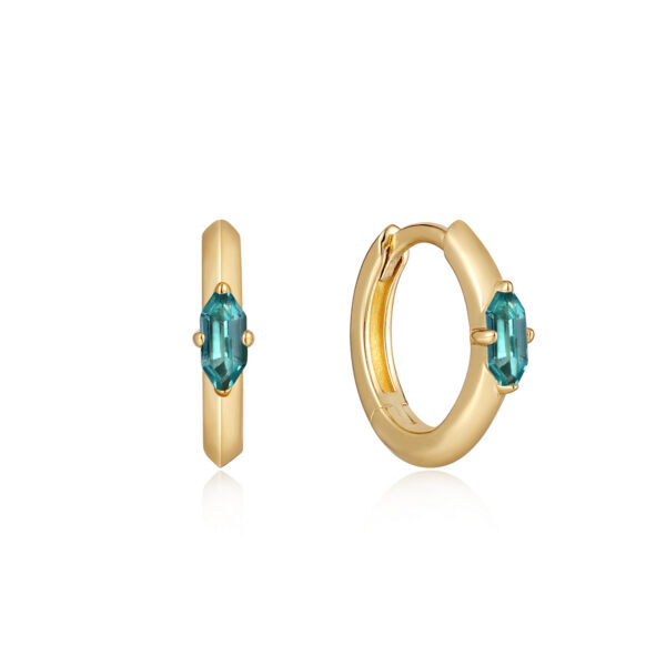 Ania Haie Earrings E041-04G-G