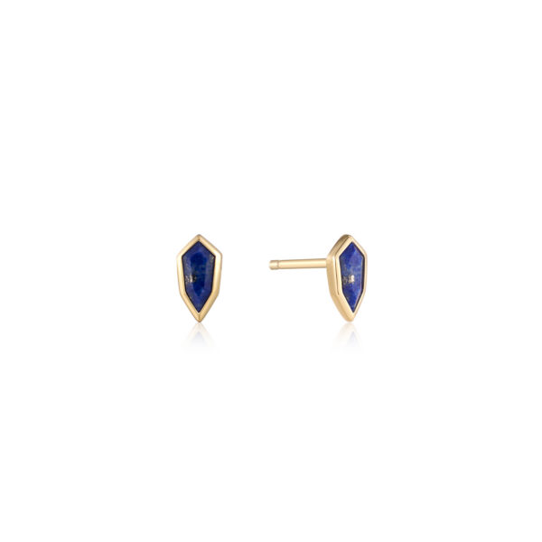 Ania Haie Earrings E042-01G-L