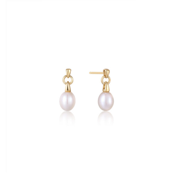 Ania Haie Earrings E043-02G