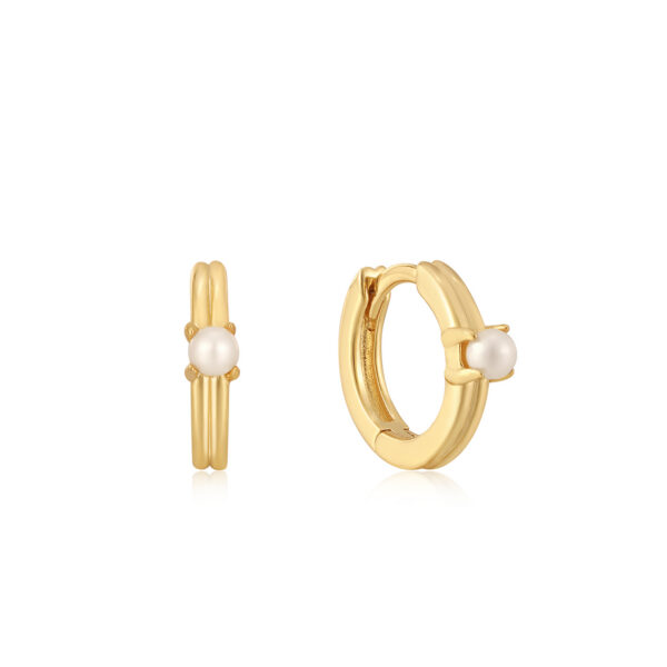 Ania Haie Earrings E043-03G