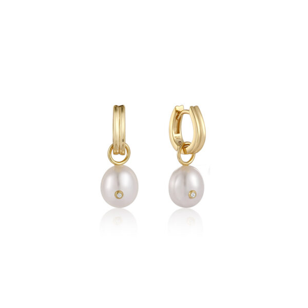 Ania Haie Earrings E043-04G