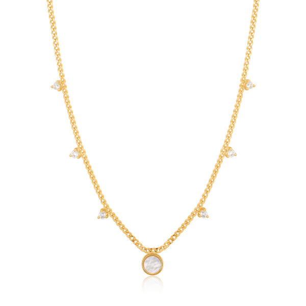 Ania Haie Necklace N022-03G