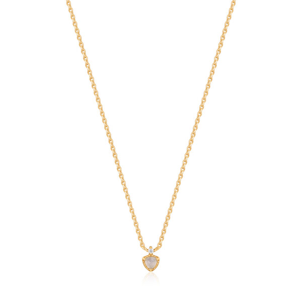 Ania Haie Necklace N026-03G