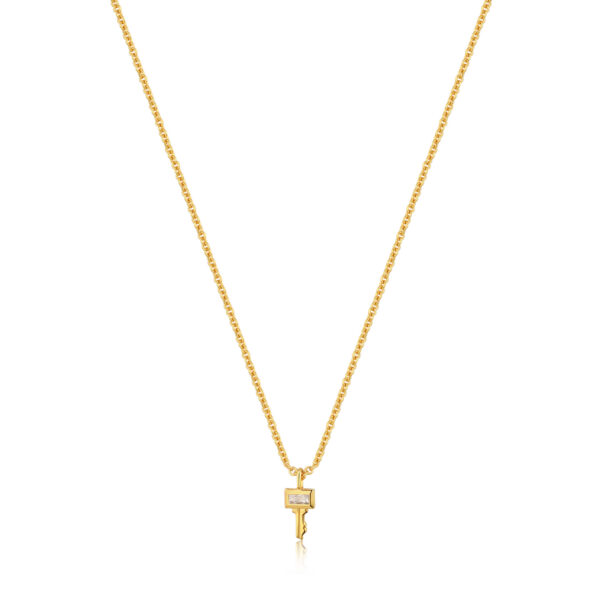 Ania Haie Necklace N032-03G