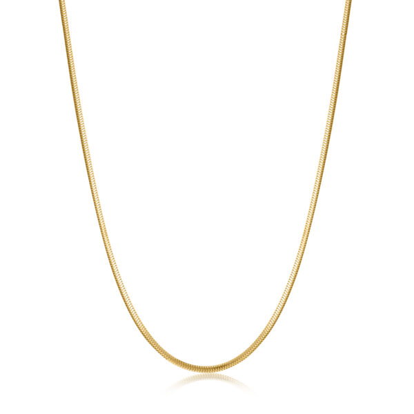 Ania Haie Necklace N038-01G