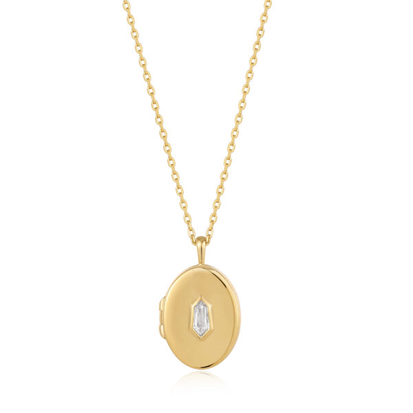 Ania Haie Necklace N041-04G-W