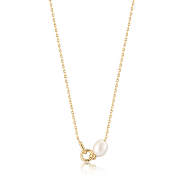 Ania Haie Necklace N043-02G