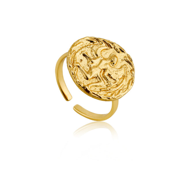 Ania Haie Ring R009-01G