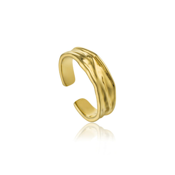 Ania Haie Ring R017-01G