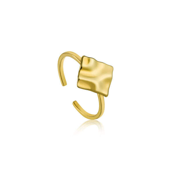Ania Haie Ring R017-02G