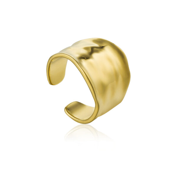 Ania Haie Ring R017-03G