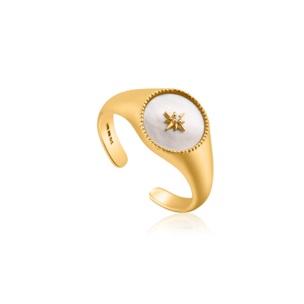 Ania Haie Ring R022-01G
