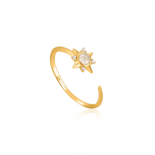 Ania Haie Ring R026-03G