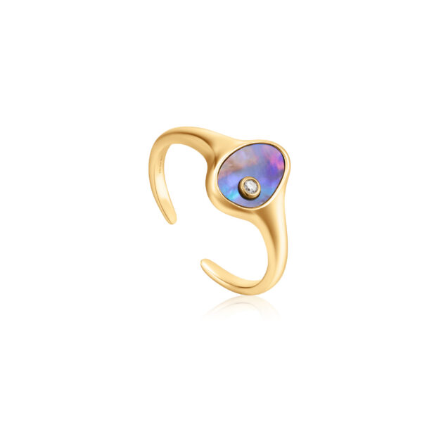 Ania Haie Ring R027-01G