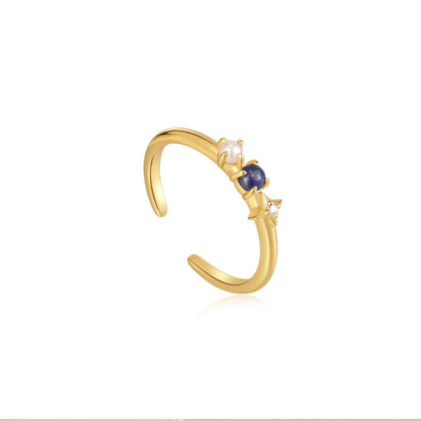Ania Haie Ring R039-01G-L