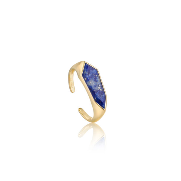 Ania Haie Ring R042-01G-L