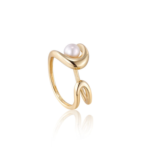 Ania Haie Ring R043-02G