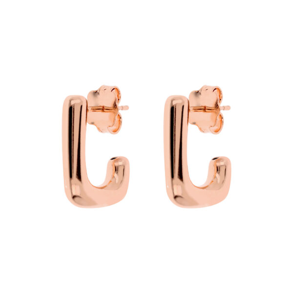 Bronzallure Earrings