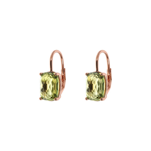 Bronzallure Earrings