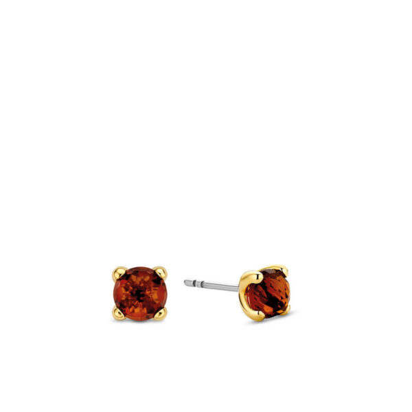 TI SENTO - Milano Earrings