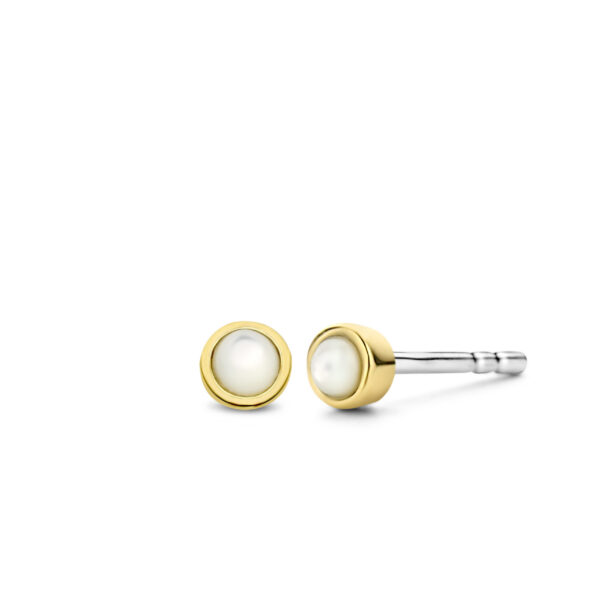 TI SENTO - Milano Earrings
