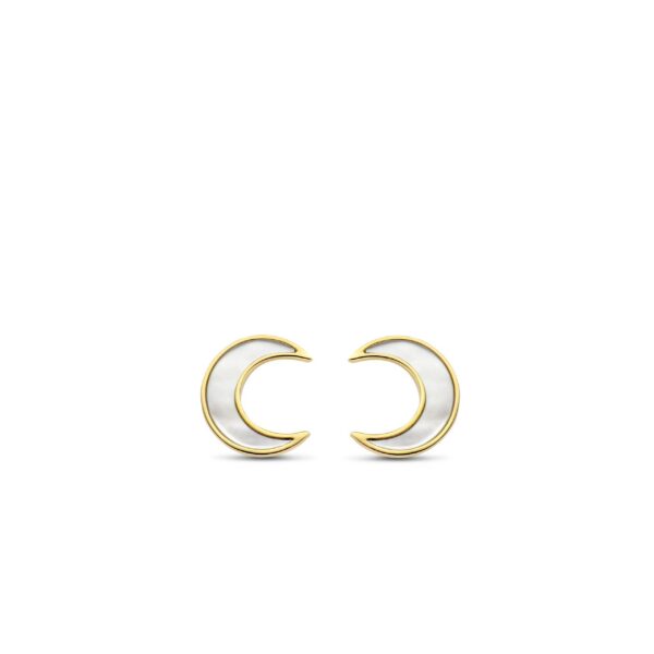 TI SENTO - Milano Earrings