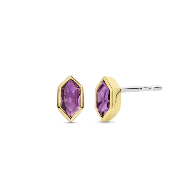 TI SENTO - Milano Earrings