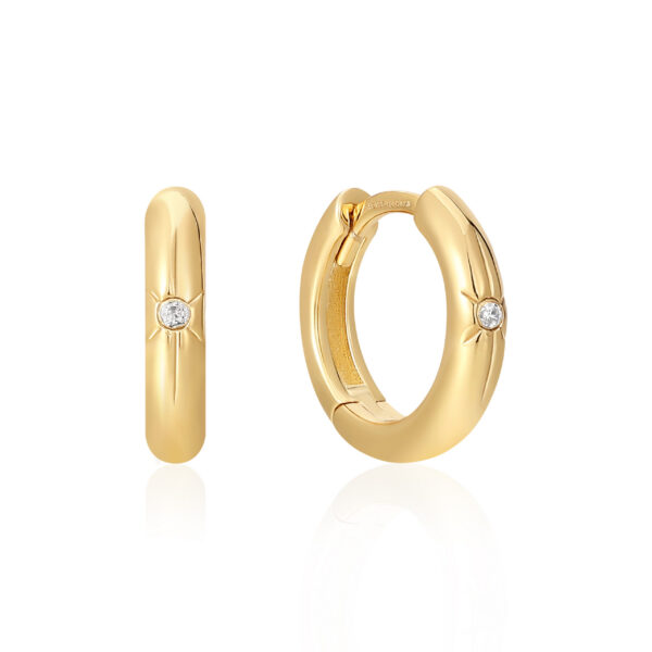 Ania Haie Earrings E048-02G