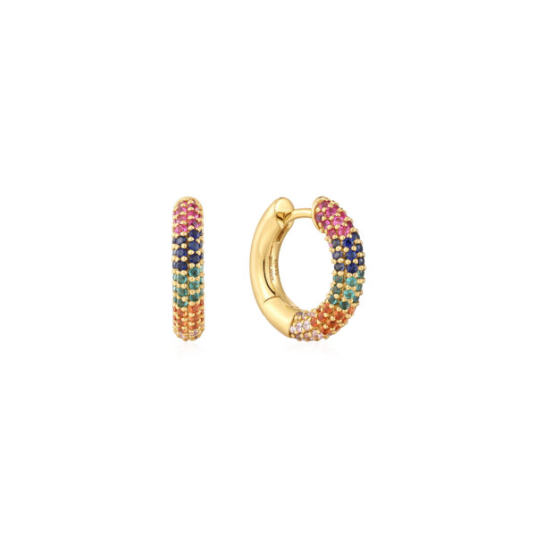 Ania Haie Earrings E048-05G