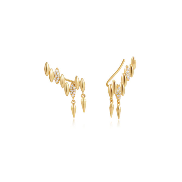 Ania Haie Earrings E051-03G