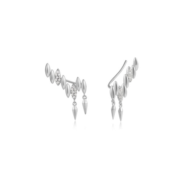 Ania Haie Earrings E051-03H