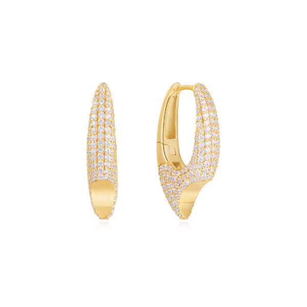 Ania Haie Earrings E051-05G