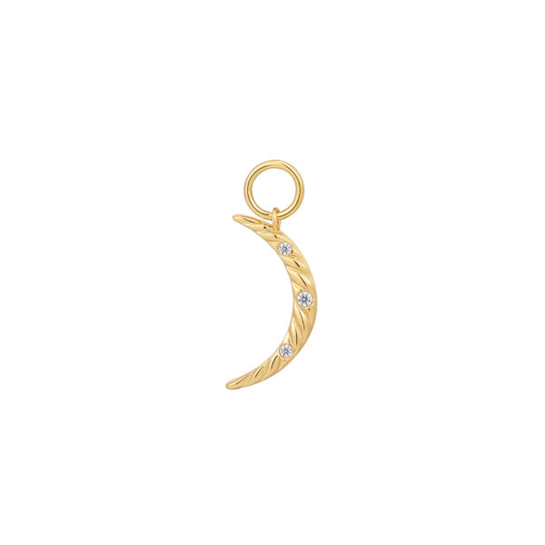 Ania Haie Ear Charm EC048-04G