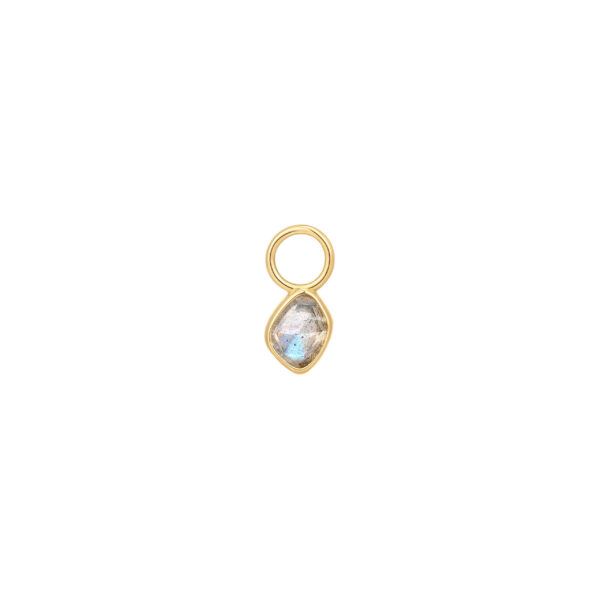 Ania Haie Ear Charm EC048-07G
