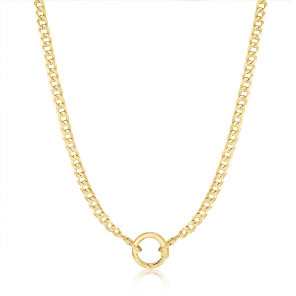 Ania Haie Necklace N052-02G