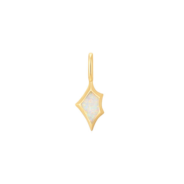 Ania Haie Pendant NC048-02G