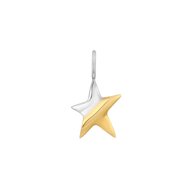 Ania Haie Pendant NC048-07T
