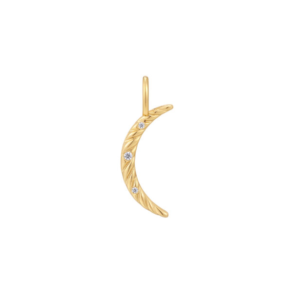 Ania Haie Pendant NC048-10G