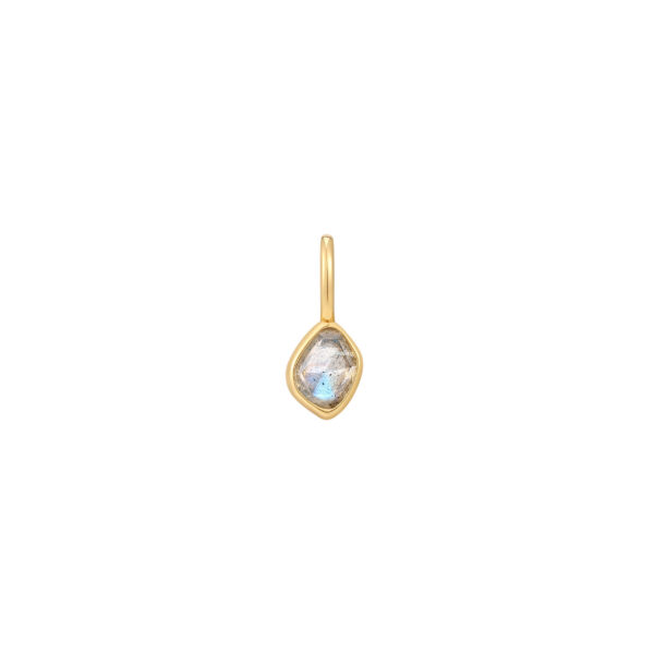 Ania Haie Pendant NC048-11G