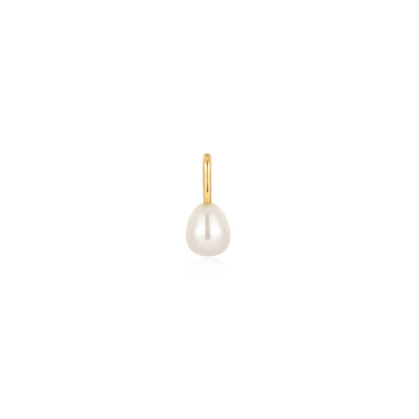 Ania Haie Pendant NC048-27G