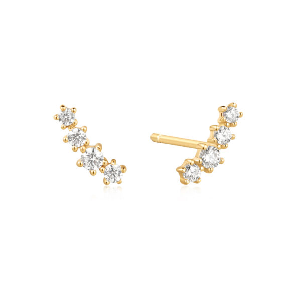 Ania Haie Earrings E056-02G