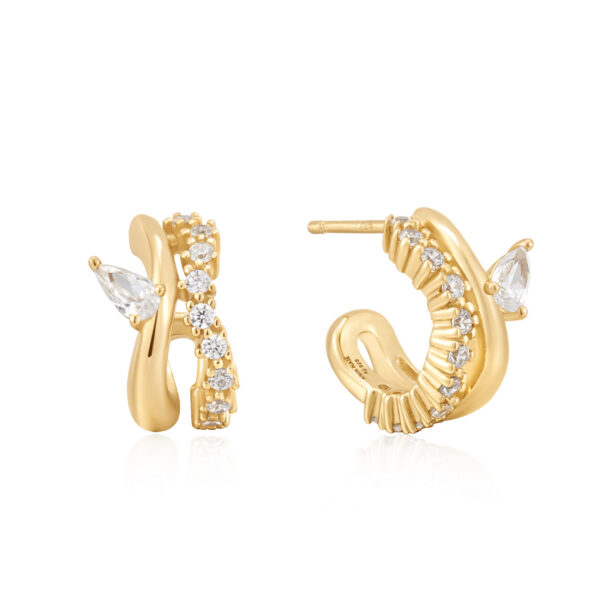 Ania Haie Earrings E056-04G