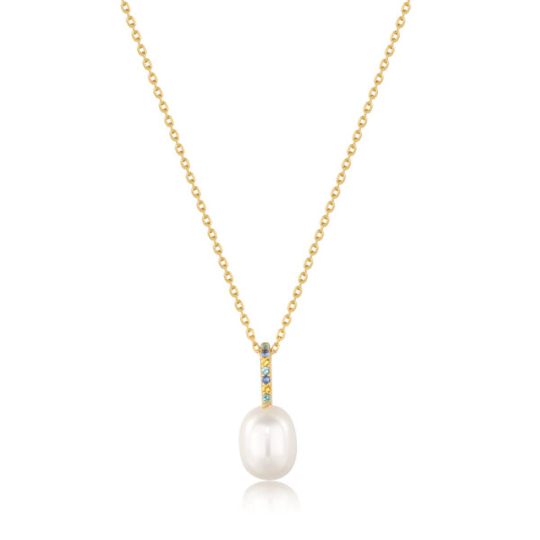 Ania Haie Necklace N054-01G