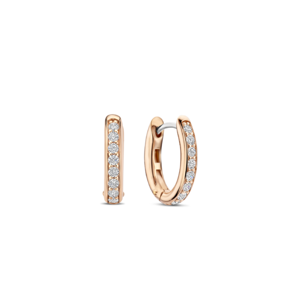TSM Earrings 7759ZR