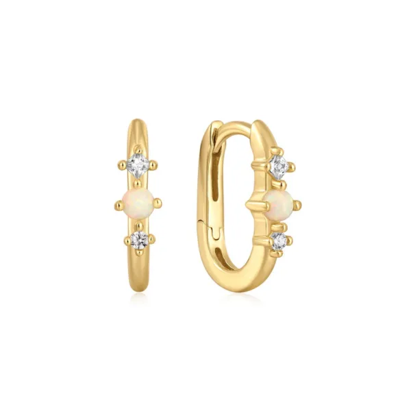 Ania Haie Earrings E047-01G