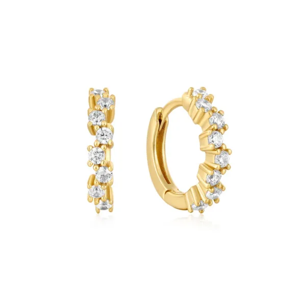 Ania Haie Earrings E047-09G